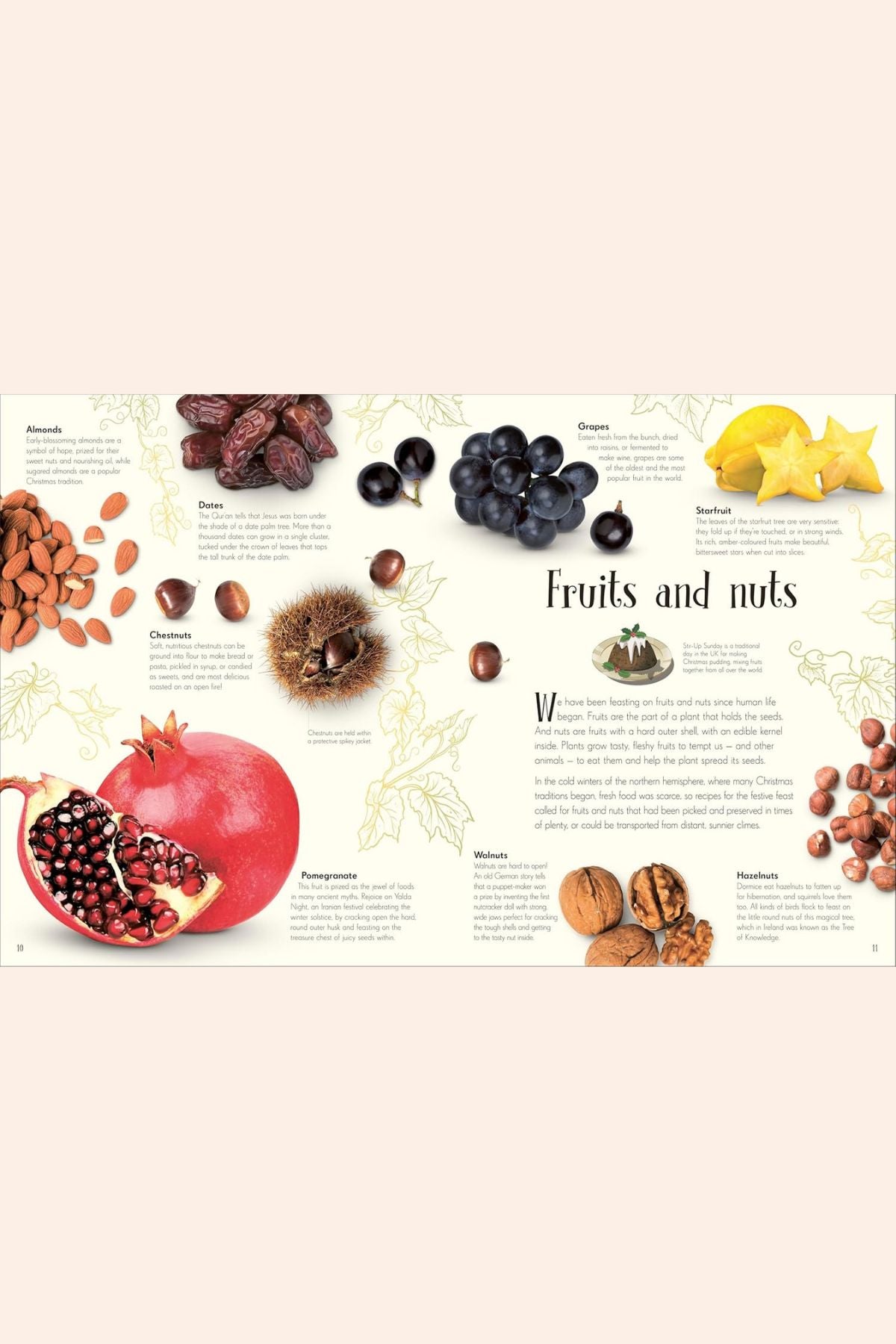 An Anthology of Christmas - Strawberries & Cream - Ingrid Lewis - Designer
Educational poster about fruits and nuts with images and text.