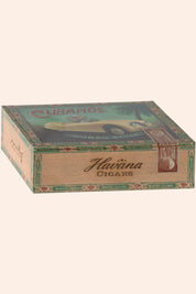 Maileg - Grandma and Grandpa Mice In Cigarbox - Strawberries & Cream