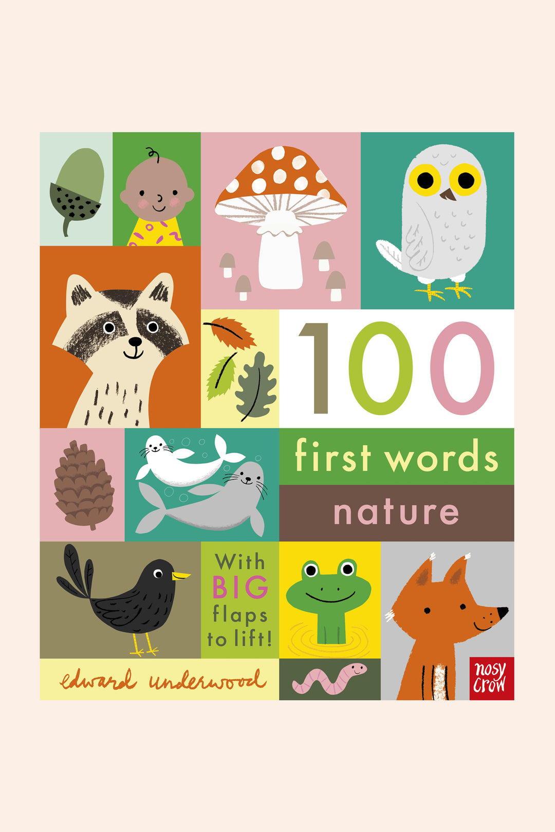 100 First Words: Nature