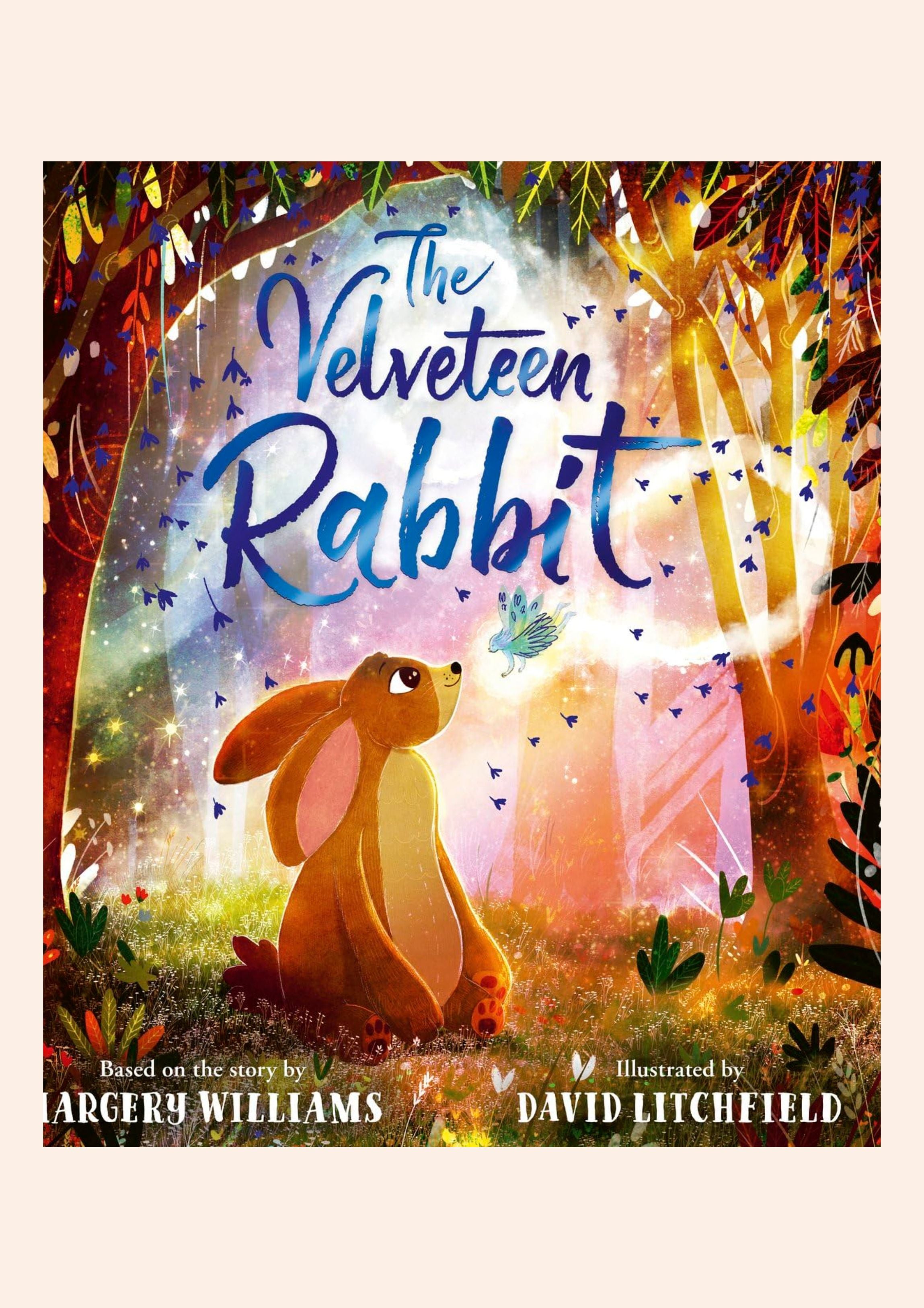 Velveteen Rabbit - Picture Book - Hardback