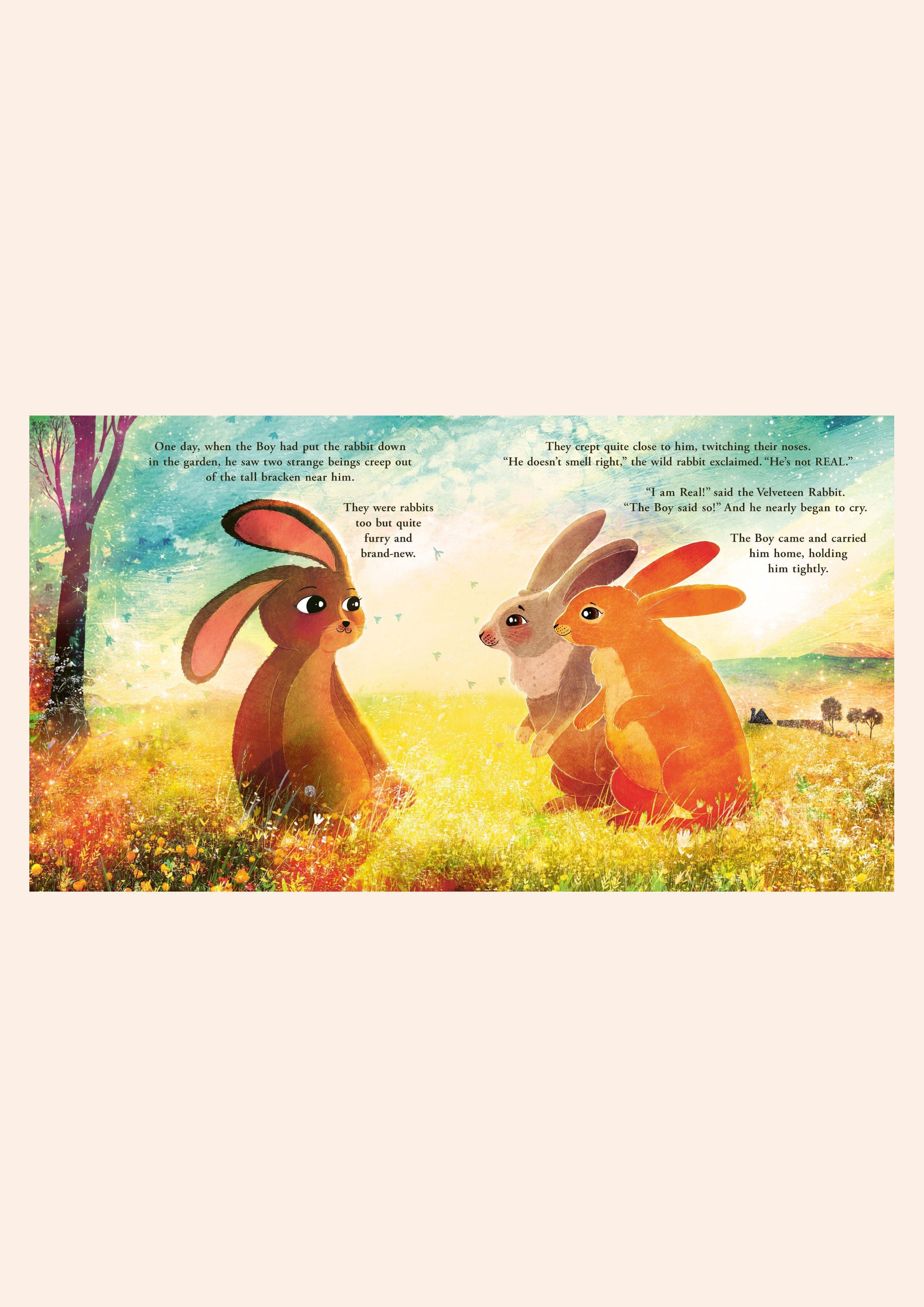 Velveteen Rabbit - Picture Book - Hardback