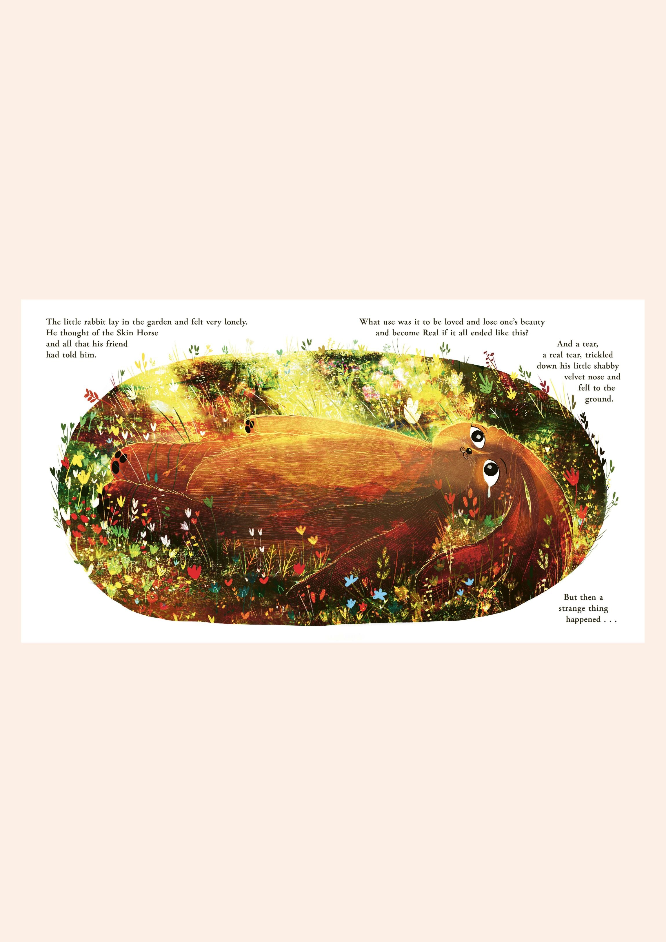 Velveteen Rabbit - Picture Book - Hardback