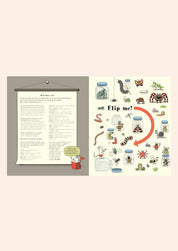 Search And Find Alphabet of Alphabets -  Wide Eye