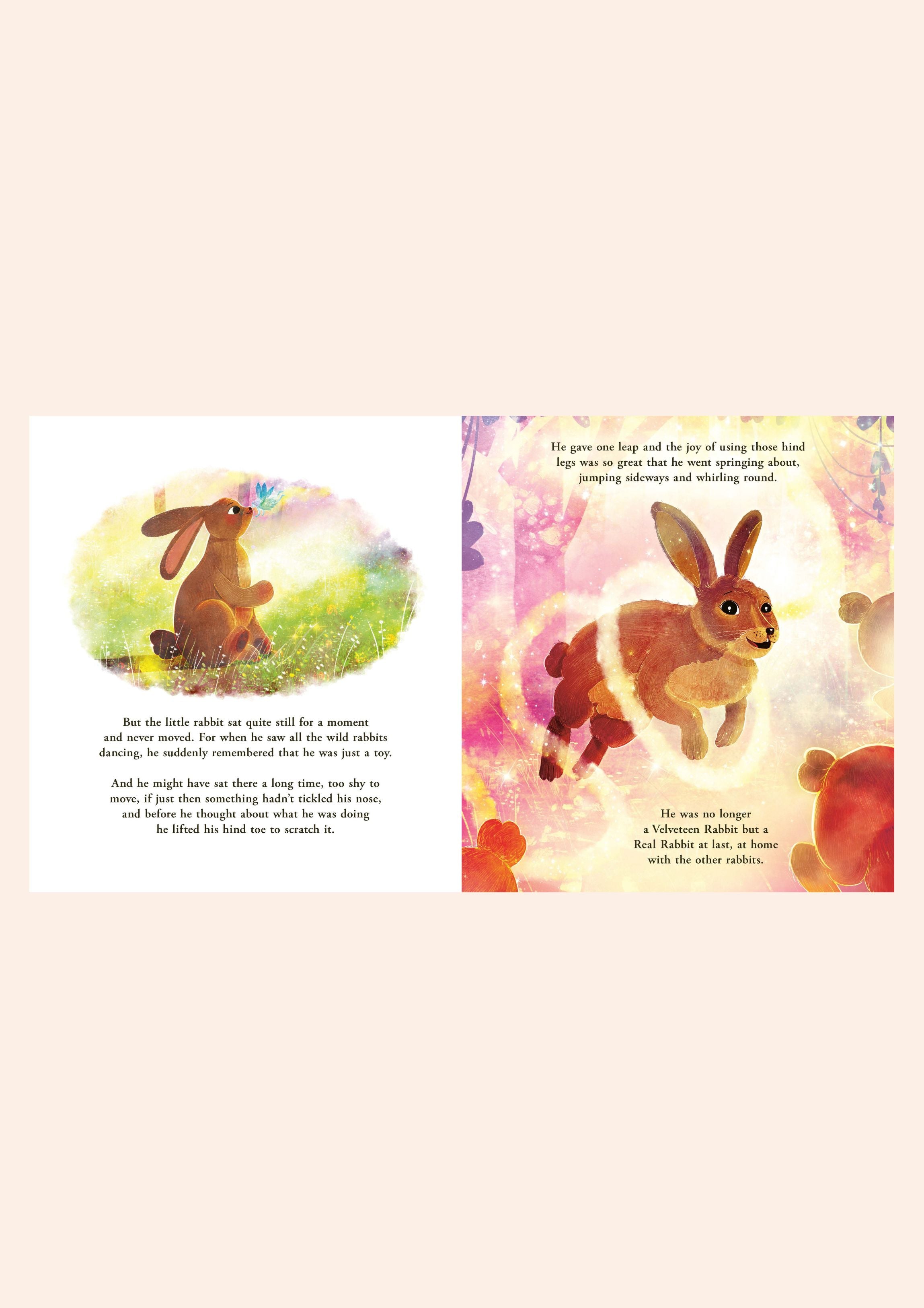 Velveteen Rabbit - Picture Book - Hardback