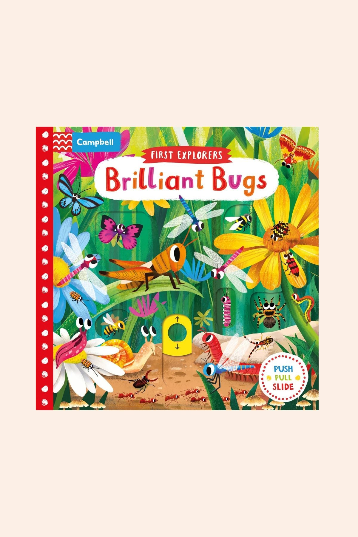 Brilliant Bugs and Minibeasts - Strawberries & Cream - Ingrid Lewis - Designer
Children's book titled 'Brilliant Bugs' with colourful illustrations of insects