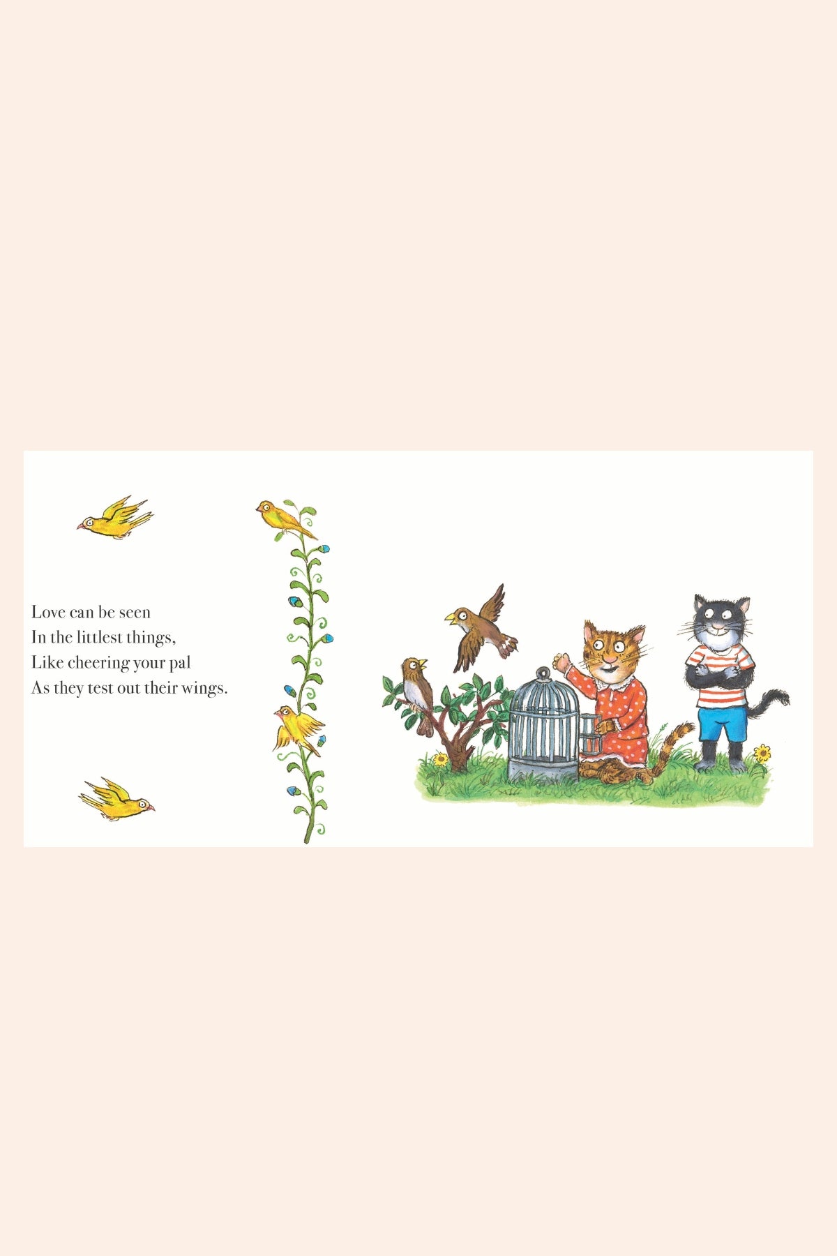 LOVE (Sophie Cashell) - Board Book