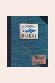 Sharks_and_Other_Sea_Monsters_Robert_Sabuda_Pop_Up_-_Strawberries_Cream_-01