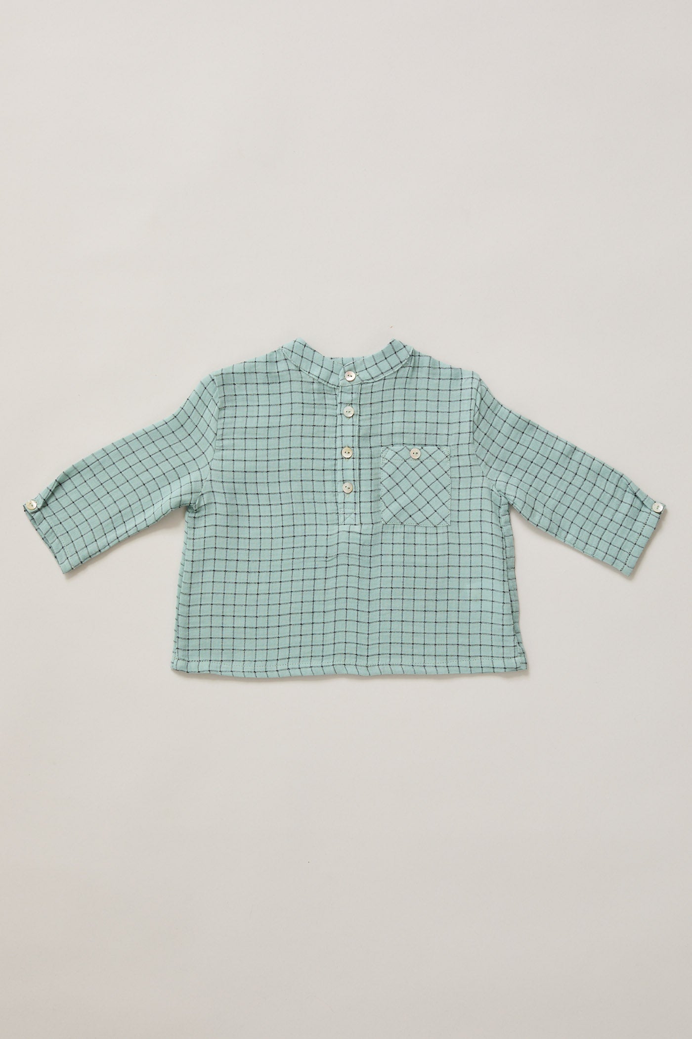 Apple Shirt In Aqua Check