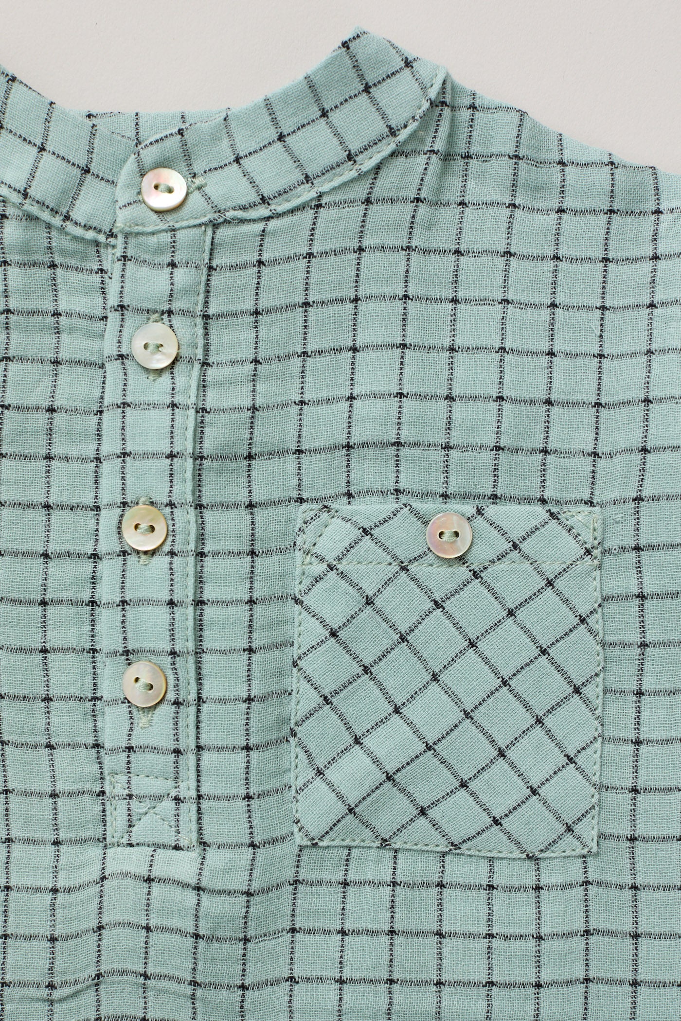Apple Shirt In Aqua Check