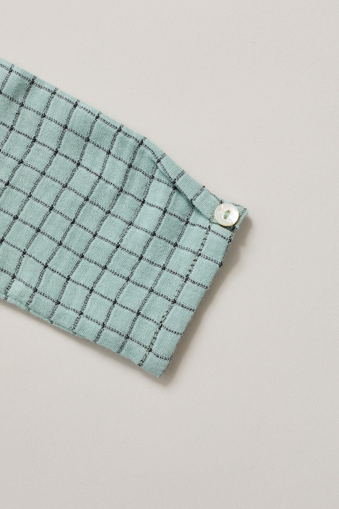 Apple Shirt In Aqua Check