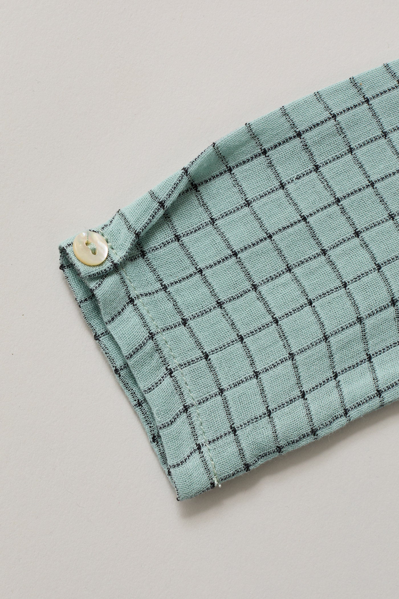 Apple Shirt In Aqua Check