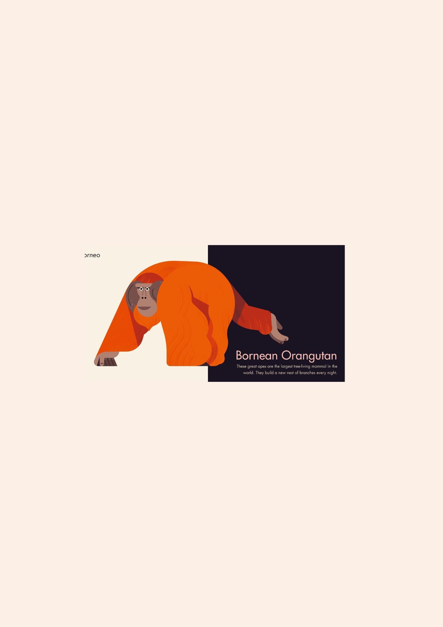My First Pop-Up : Endangered Animals