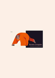 My First Pop-Up : Endangered Animals