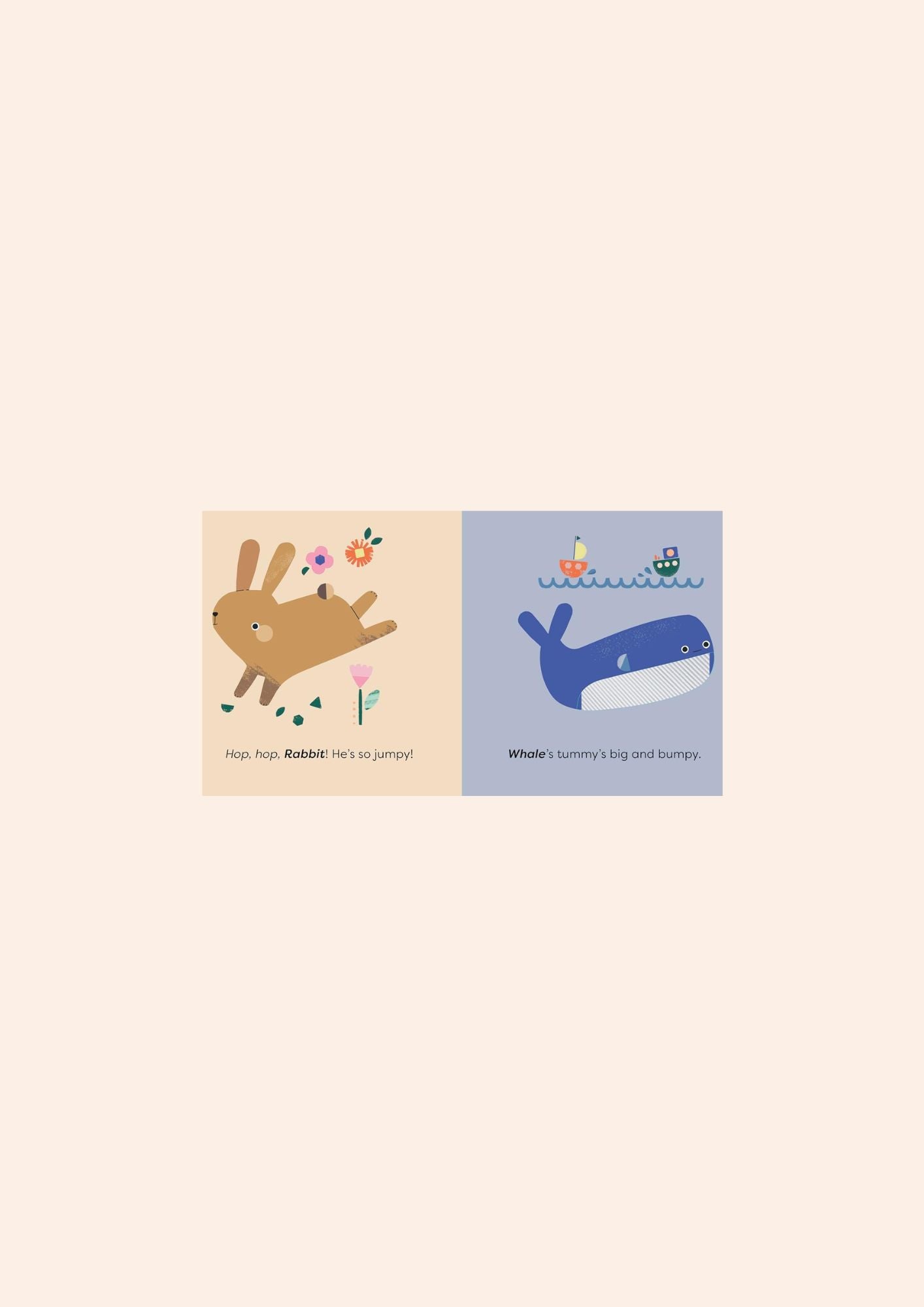 Animals - Touch - and - Feel