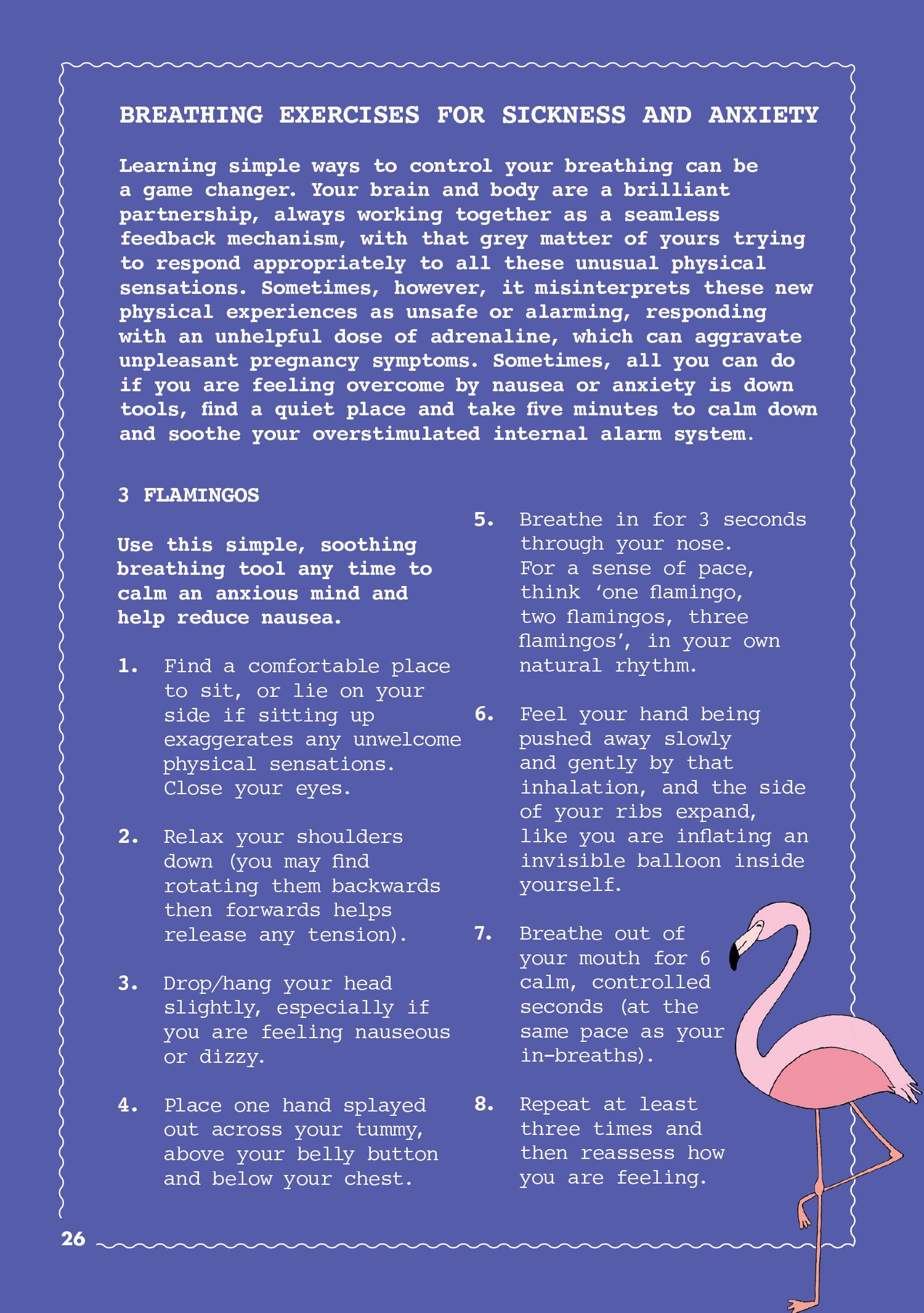 The Little Book Of Self Care For Mums To Be - Strawberries & Cream - Ingrid Lewis