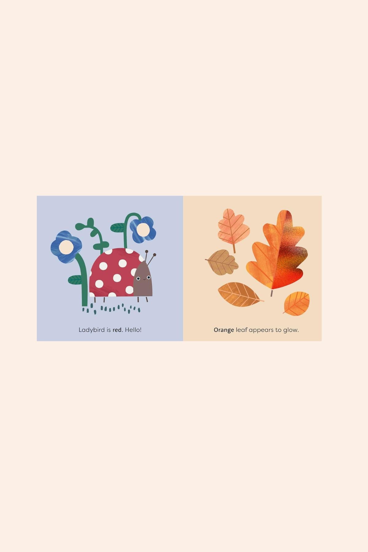Nature - Touch- and - Feel