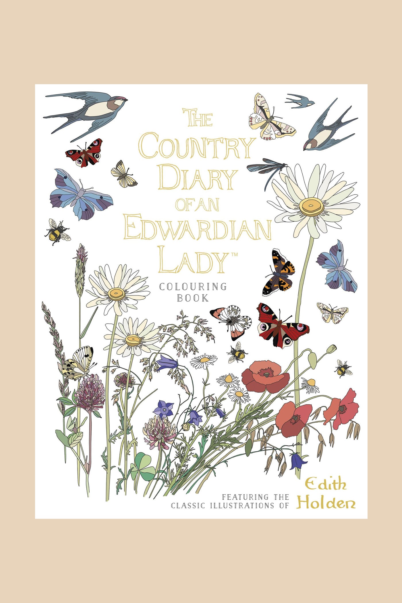 Country Diary Of An Edwardian Lady Colouring Book