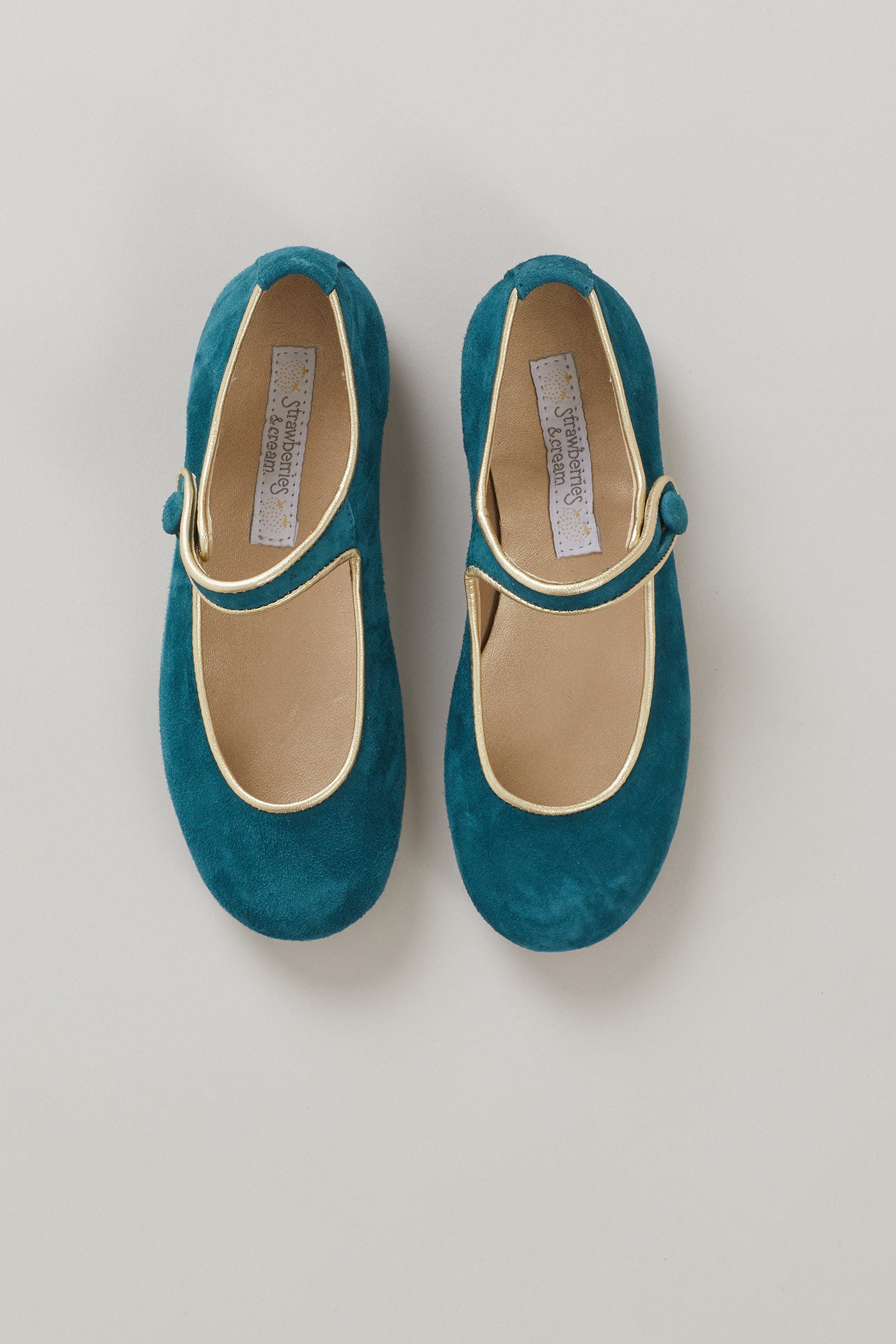 Suede Mary Jane In Aqua