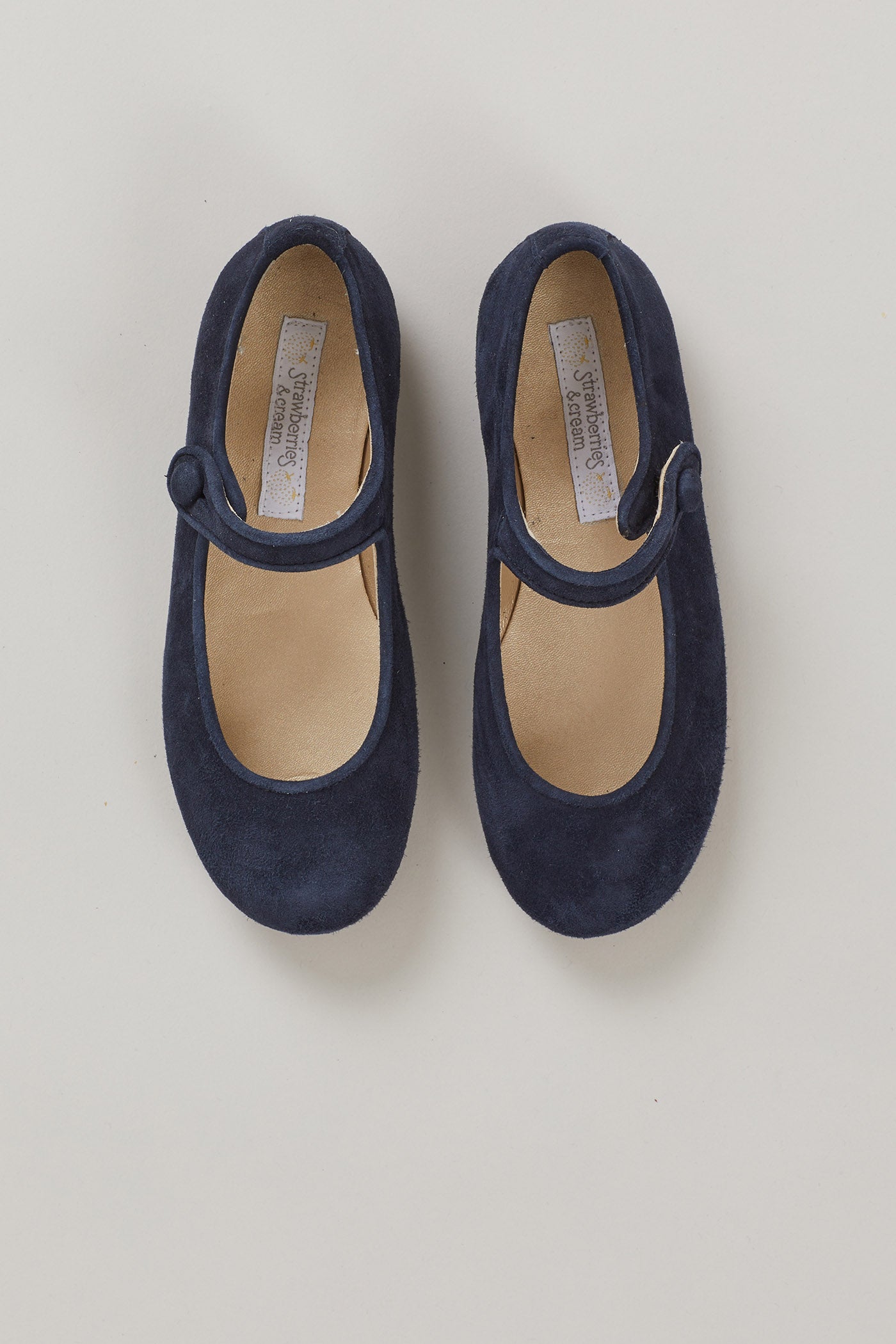 Suede Mary Jane Navy