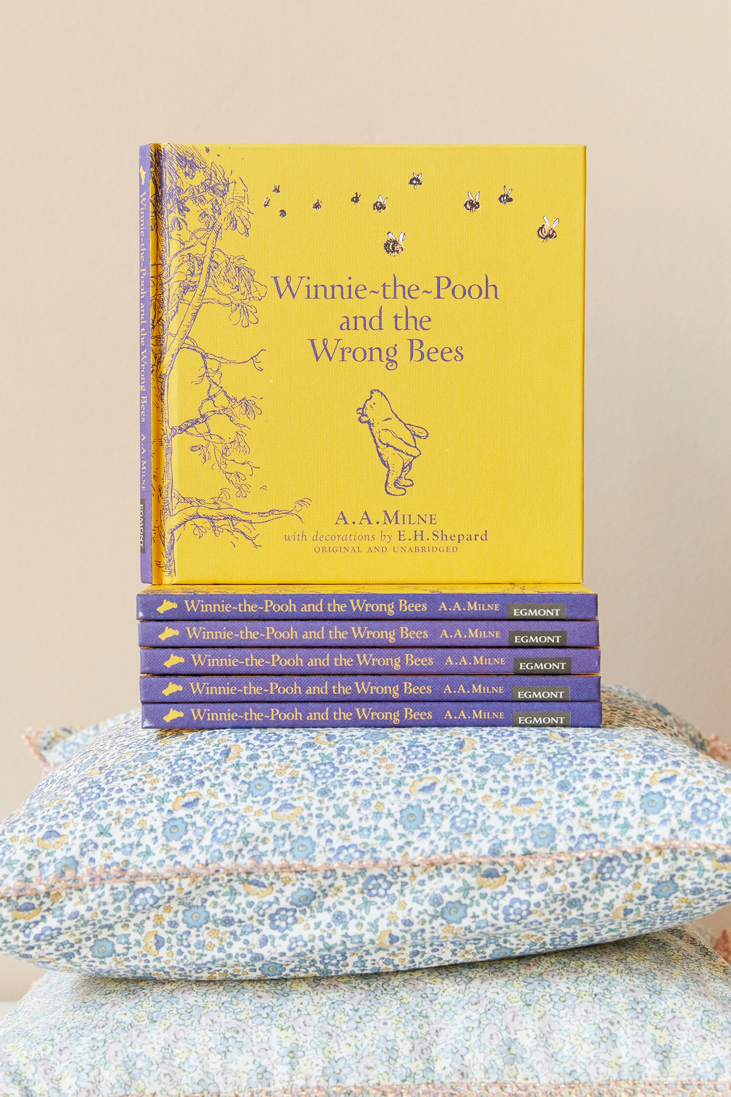 Winnie The Pooh and The Wrong Bees Book