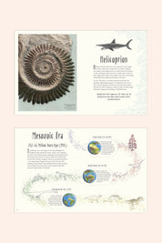 Dinosaurs And Other Prehistoric Life (DK)
