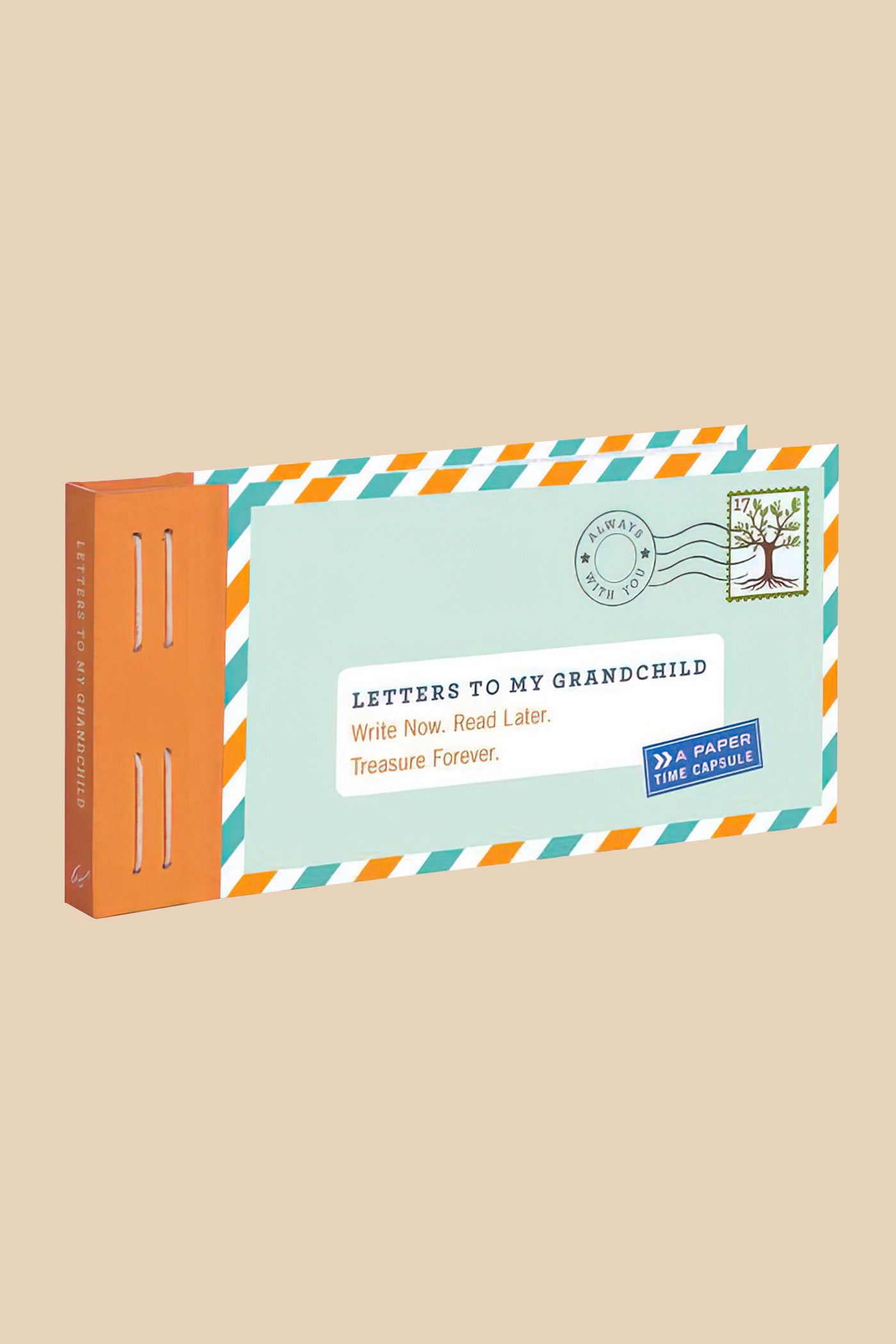 Letters to my grandchild